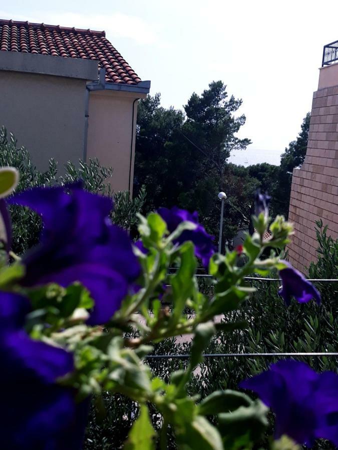 Apartmani I Soba Andrijasevic 马卡尔斯卡 外观 照片